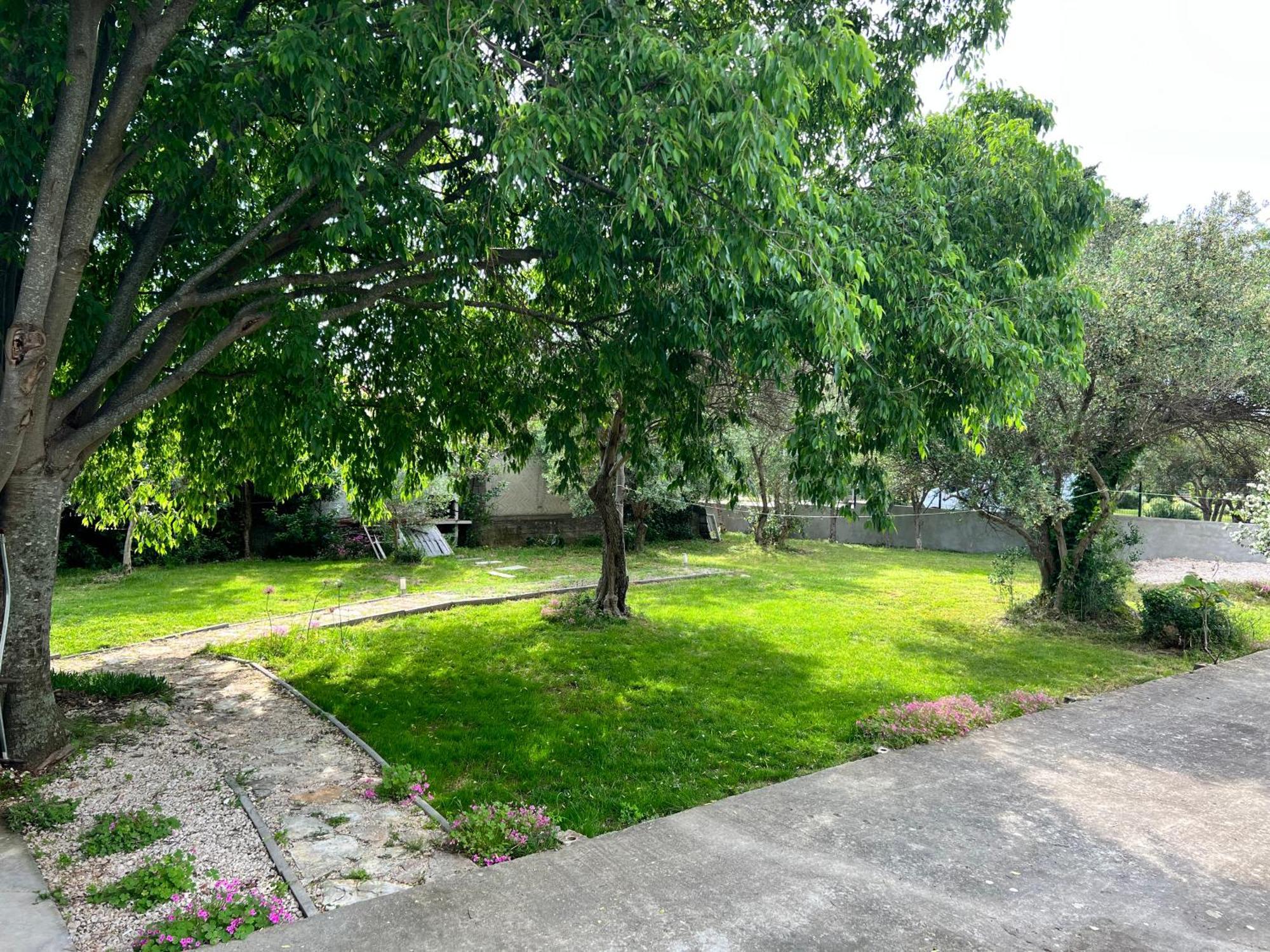 Apartments Mia Bibinje Εξωτερικό φωτογραφία