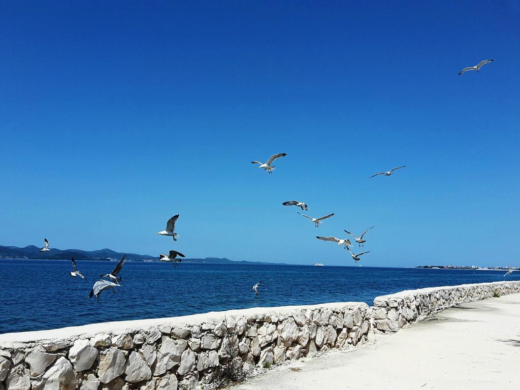 Apartments Mia Bibinje Εξωτερικό φωτογραφία